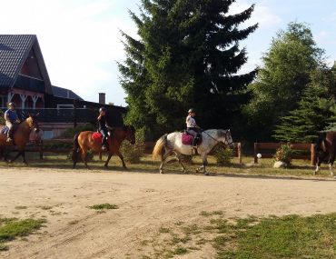 37017975_1742016645894037_690340921098633216_o