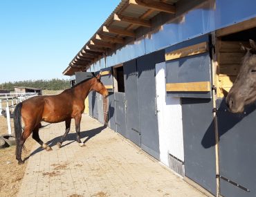 54270b34-6d72-11eb-b62b-525400e16d32_hd_20200421-083732