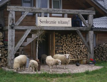 575470b0-42d1-11eb-8bf1-525400d183e6_hd_owieczki-przed-karczma