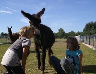 775d1d30-42d1-11eb-a03b-525400e16d32_hd_pict1041