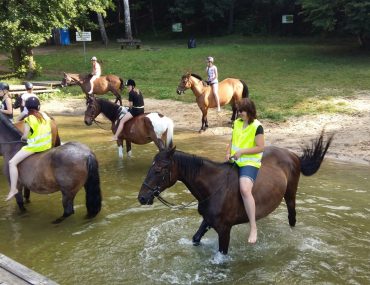 8aa9daee-6de8-11eb-8311-525400e16d32_hd_20160630-081450-scaled