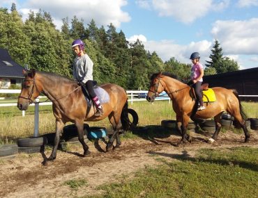 9bded738-6de8-11eb-9139-525400d183e6_hd_20160627-174343-scaled