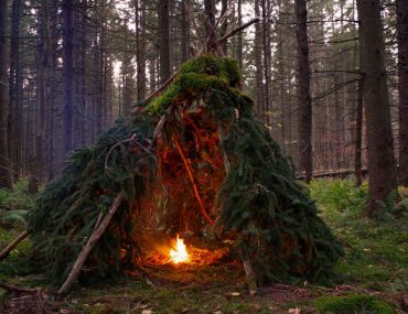 Untitled design (52)